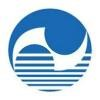 Neo Rays Software Solutions Logo