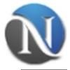 Neoitek Systems Logo