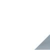 Neptronic Logo