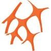 Neteam Solutions Logo