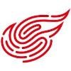 NetEase Game Logo