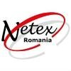 Netex Consulting Logo