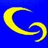 netguru (CA) Logo