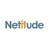 Netitude Logo