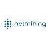 Netmining Logo