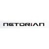 Netorian Logo