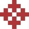 NetPlanner Systems Logo