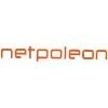 Netpoleon Solutions Logo