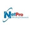 Netpro Networking Professionals Logo