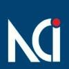 Netrika Consulting & Investigations Logo