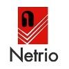 Netrio IT Solutions Logo