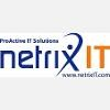 Netrix IT Logo