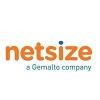 Netsize Logo