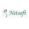 Netsoft Solutions Logo