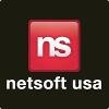 Netsoft USA Logo