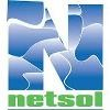 NetSol Technologies Logo