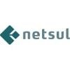 NetSul Logo