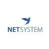 NetSystem Logo
