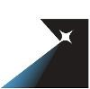 Networked Insights Logo