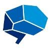 NeuroLeadership Institute Logo