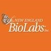 New England Biolabs Logo