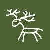 New Forest Care Logo
