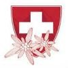 New Glarus Home Logo