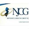 New Jersey Consulting Group Logo