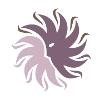 New Mexico Cancer Center Logo
