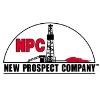 New Prospect Company Logo