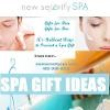 New Serenity Spa Logo