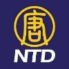 New Tang Dynasty Television Logo