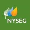 New York State Electric & Gas Logo