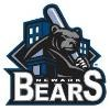 Newark Bears Logo