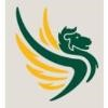 Newport City Council Logo