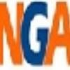 NGA Group Logo