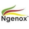 Ngenox Logo