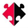Nicco Ventures Logo
