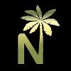 Nihilo Group Logo