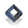NII Consulting Logo