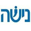 Nisha Group Logo