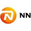 NN Group Logo