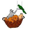 Noah's Ark Animal Hospitals Logo