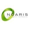 Noaris Consulting Logo