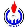 NOC Logo