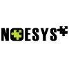 Noesys Consulting Logo