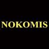 Nokomis Logo
