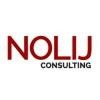 Nolij Consulting Logo