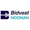 Noonan Logo