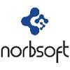 Norbsoft Logo